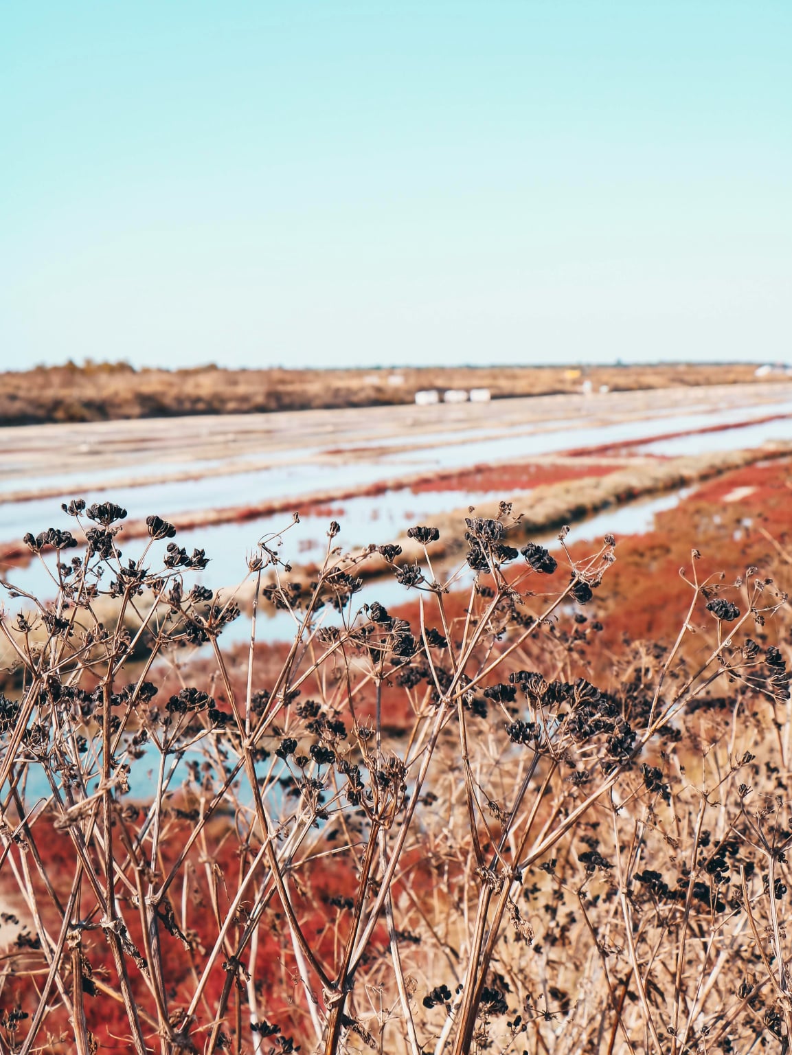 Placement financier sur l'île de Ré